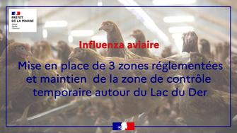 Arrêté préfectoral n° ddetspp 2023-0001 déterminant une zone de contrôle temporaire autour de cas d’influenza aviaire hautement pathogène dans la faune sauvage