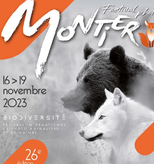 Montier-en-Der : Festival de la photo animalière et de nature