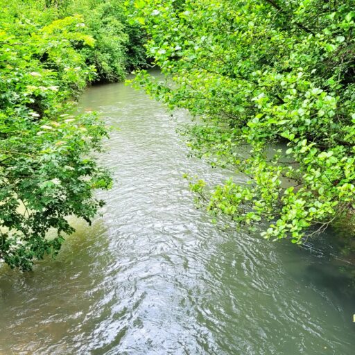 Jussecourt-Minecout Info