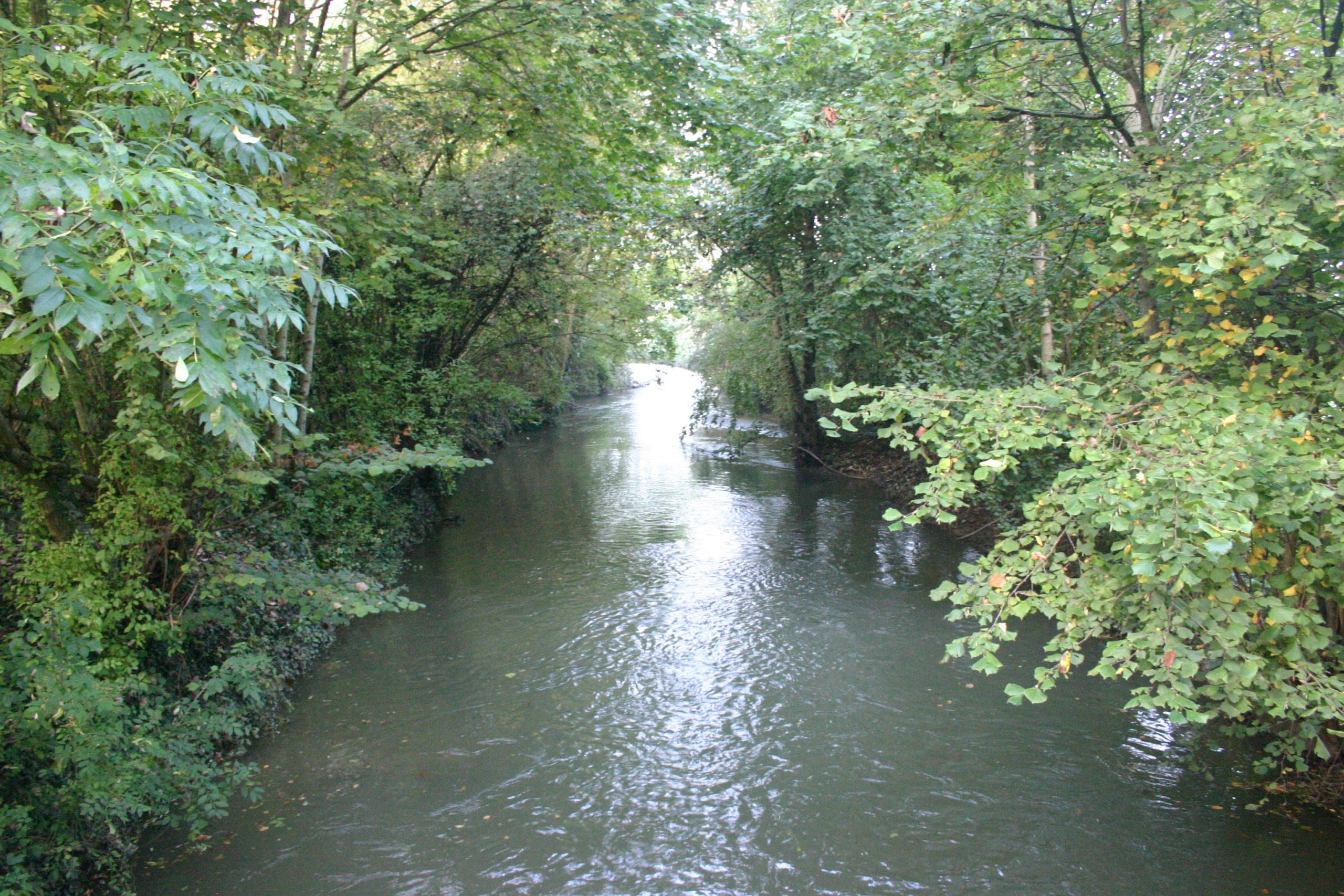 Alerte sécheresse : quelles restrictions de l’eau à Jussecourt-Minecourt ?