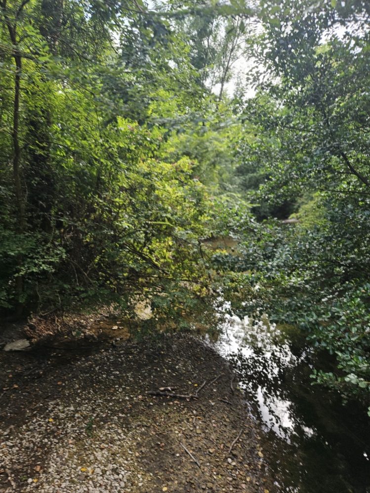 Alerte sécheresse : quelles restrictions de l’eau à Jussecourt-Minecourt ?