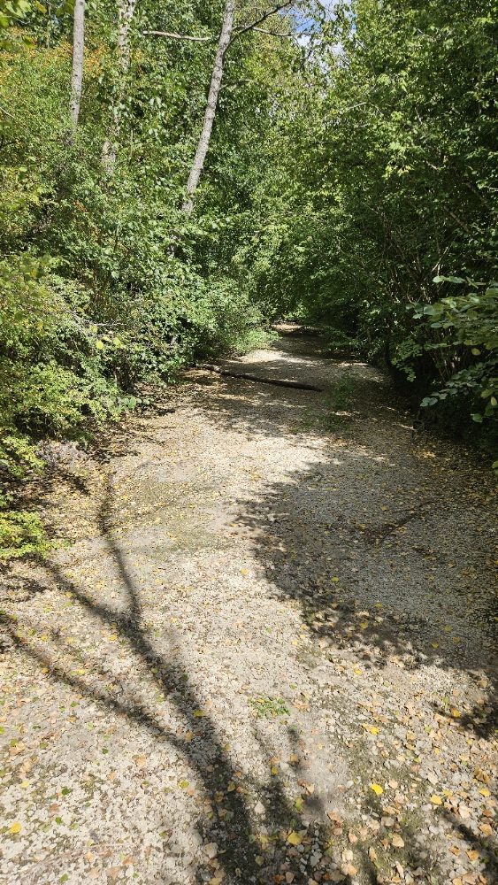 ARS : Qualité de l’eau potable au 11 août 2026 (Suite)